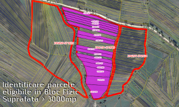 Selectie parcele eligibile intr-un Bloc Fizic